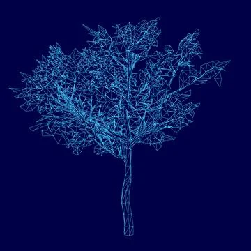 Wireframe tree on dark blue tech background, triangles style design. Vector Illustrazione stock