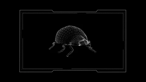 Wireframe Visualization of Beetle Model on Black Background in Futuristic Sty 库存影片 343864294