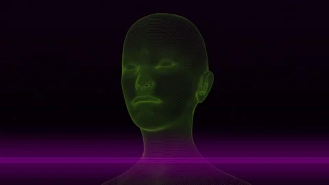 WIREFRAMES SCAN - LOOPING VIDEO Stockbeeldmateriaal 143462721