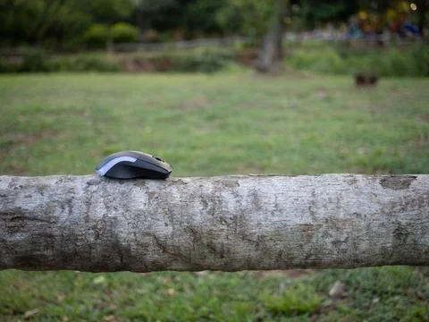 Wireless computer mouse resting on wooden log outdoors Foto stock