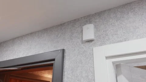 Wireless doorbell button mounted on wall near entrance doors Video stock 344516683