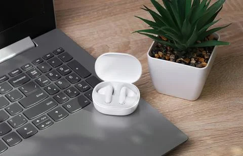Wireless earbuds in open case on laptop next to plant Stock Photos