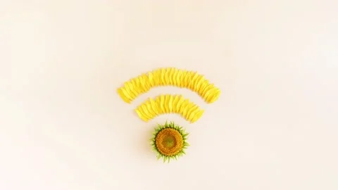Wireless network symbol made of sunflower Stock Footage 201358030