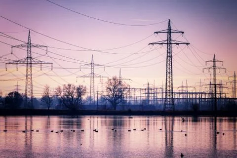 Wires and ducks Stock Photos