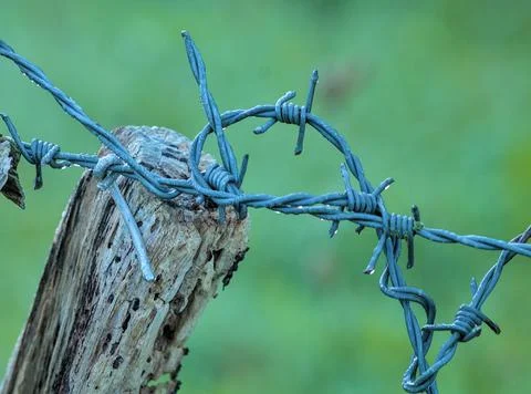 Wires in the field on posts Stock Photos
