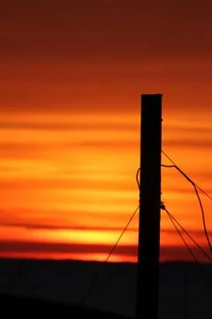Wires in sunset Stock Photos