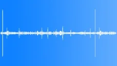 WireTailed Manakin CU CallsSound Effect