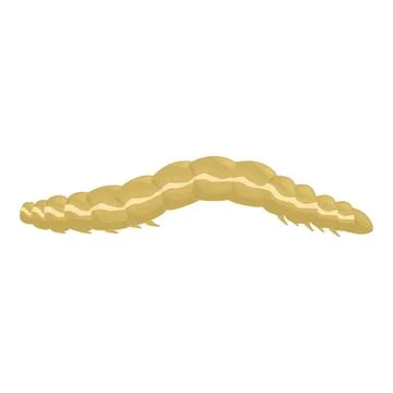 Wireworm larva crawling on white background Stock Illustration