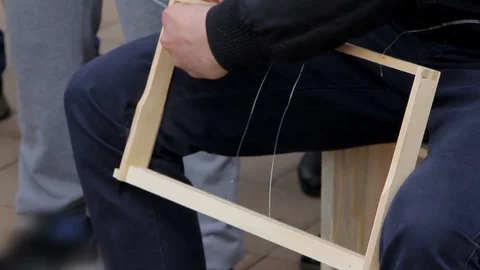 Wiring through the frames in beekeeping Video stock 89886814