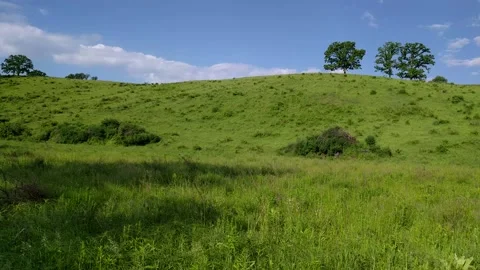 A Wisconsin Hillside in the Summer Stock Footage 151321963