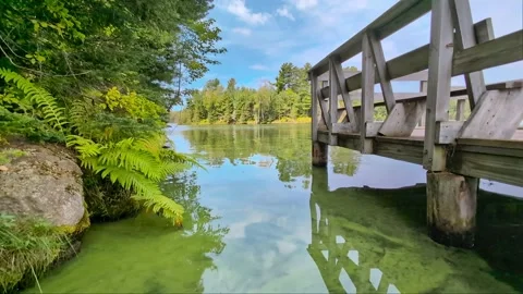 Wisconsin Lake Algae Bloom Stock Footage 344596831