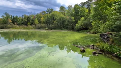 Wisconsin Lake Algae Bloom Stock Footage 346182750