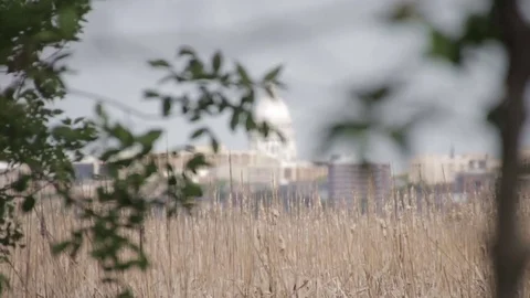Wisconsin State Capitol Building, rack focus Stock-Footage 82329475