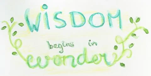 Wisdom begins in wonder Stock Illustration