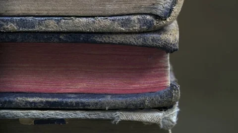 The Wisdom of Books Stock Footage 72170781