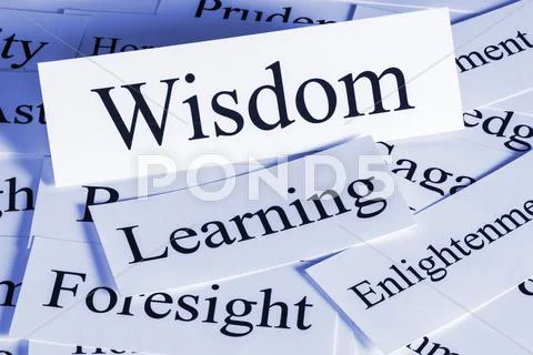 Wisdom concept Stock Illustration