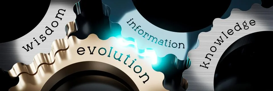 Wisdom, information, evolution, knowledge - gears concept - 3D illustration Stock Illustration