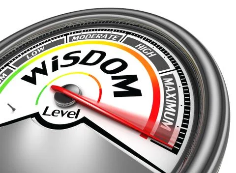 Wisdom level conceptual meter Stock Illustration
