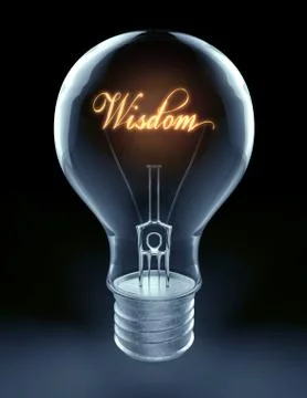 Wisdom lightbulb Stock Illustration