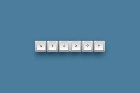 Wisdom text on a 3d keyboard button with shadow concept series 库存插图