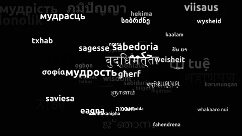 Wisdom Translated in 57 Worldwide Languages Endless Looping 3d Zooming Wordcl 스톡 동영상 145216642