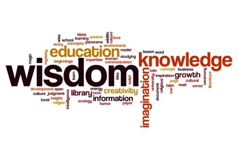 Wisdom word cloud concept 스톡 일러스트