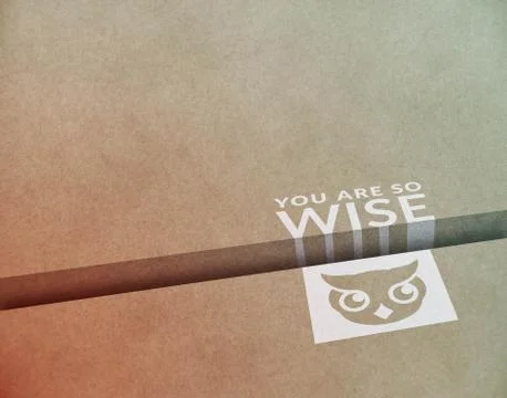 Wise Layout Illustrazione stock