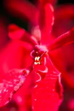 The Wise One Stock Photos