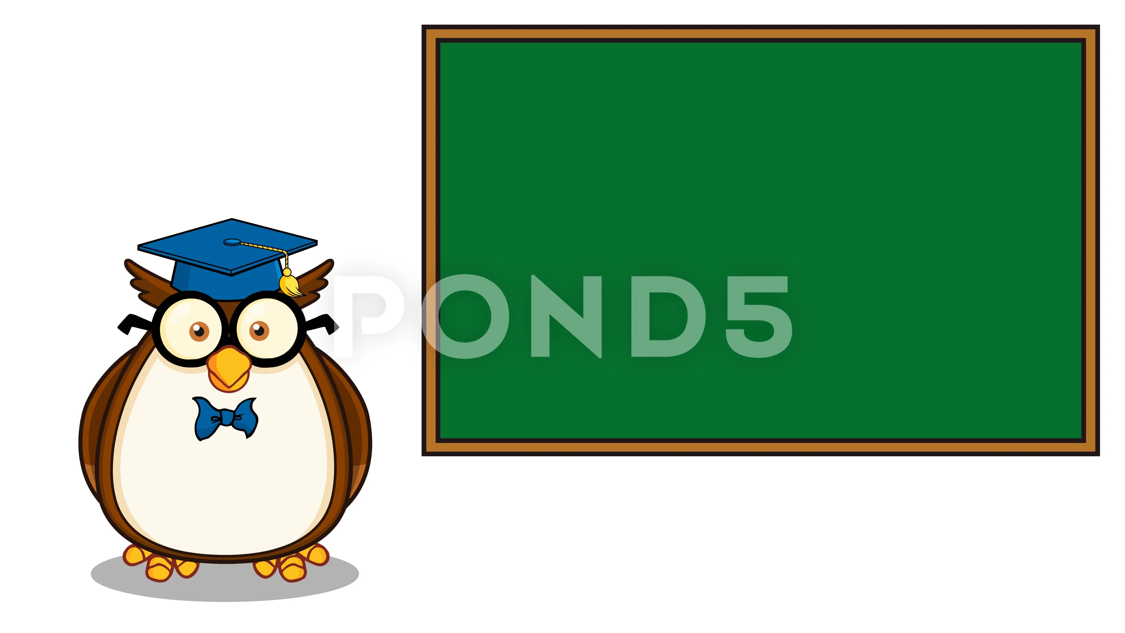 Wise Owl Teacher Cartoon Character In Fr... | Stock Video | Pond5