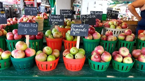 Wise shot of different kinds of apple, showing the difference of price of Video stock 117306944
