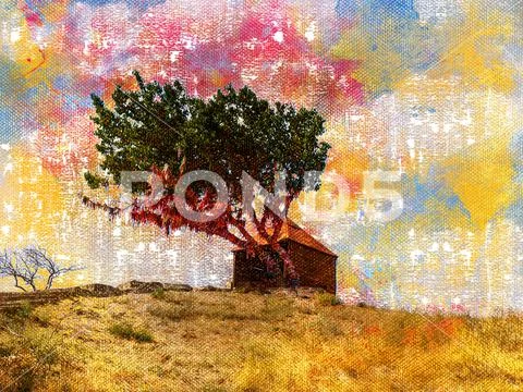 A wish tree and a small wooden hut in an empty field. Tree branches ...