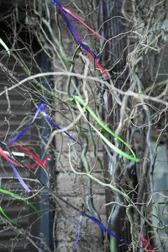 Wish tree with colored ribbons . Vertical shot Stock Photos