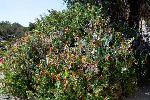 Wish tree with colored ribbonsWish tree with colored ribbons. Multi colored r Stock Photos
