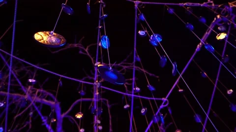 Wish Tree 動画素材 146835701