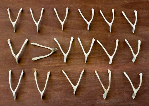 Wishbone Stock-Fotos