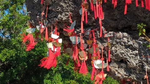 Wishes and prayers for blessings or health to honor loved ones tied on trees Stock Footage 295243385
