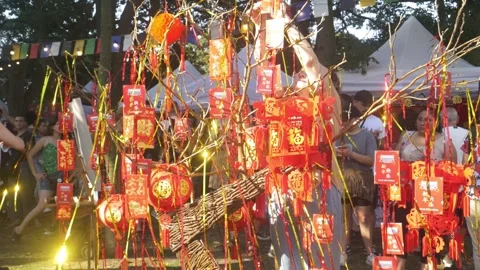 Wishing tree. Camera pulls back Stock Footage 291553597