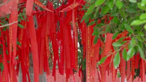 Wishing Tree with Red Prayer Ribbons 4K Real Shot Stock Footage 319971604
