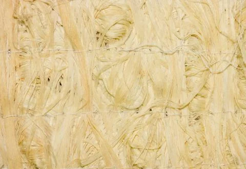 Wisp of bast. 스톡 사진
