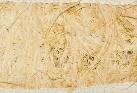 Wisp of bast. Foto stock