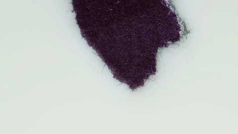 Wisp of black matter floats on the surface of a white liquid. Stock Footage 212996199