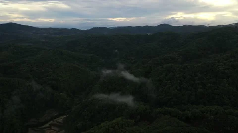 Wispy Cloud Dances in Front of Rainforest and Sunrise Clouds 動画素材 209154226