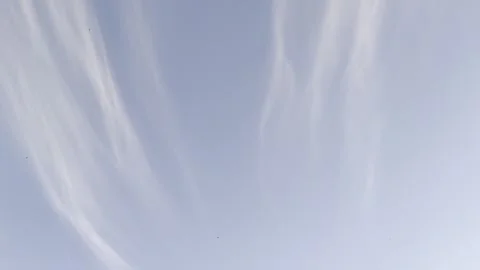 Wispy Clouds and Birds Flying Across Clear Blue Summer Sky Background Stock Footage 340187848