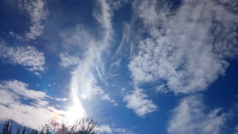 Wispy Clouds and Bright Sun Behind Tree Silhouette Stock Footage 345419861
