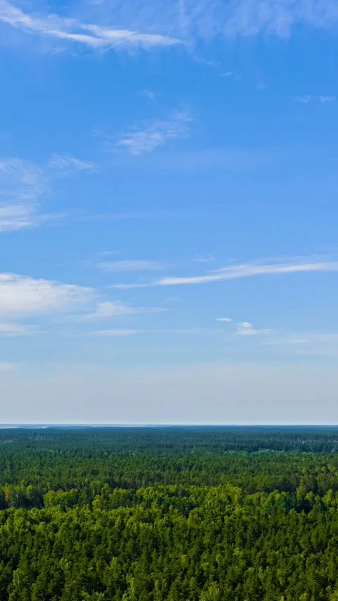 Wispy clouds drifting above endless green forest clear blue sky Stock Footage 340429246