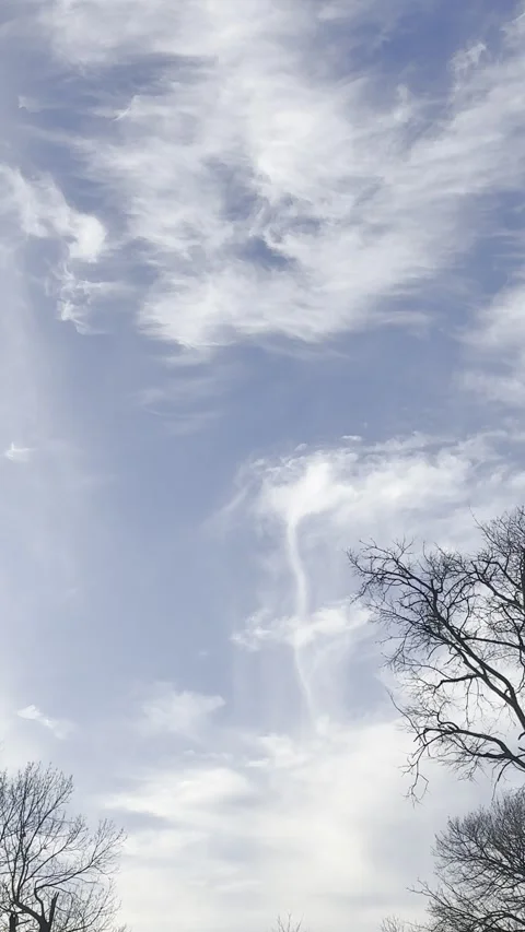 Wispy Clouds Over Blue Sky and Trees Stock Footage 344601365