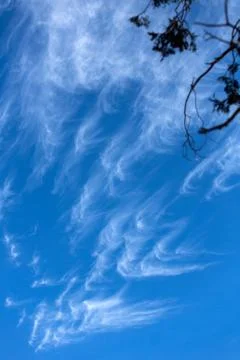 Wispy hook shaped clouds over a brilliant blue sky Stock Photos