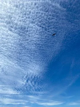 Wispy Light Clouds on a Bright Blue Sky Stock Photos