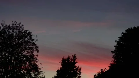 Wispy sunset clouds with trees in silhouette Stock Footage 60851206
