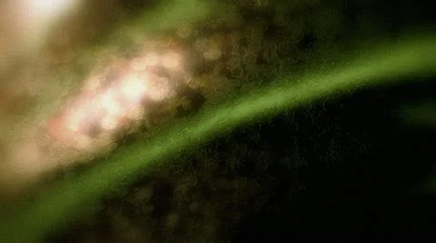 Wispy Waves Stock Footage 10891139